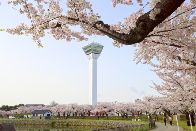 春|桜と新緑のカスタム旅